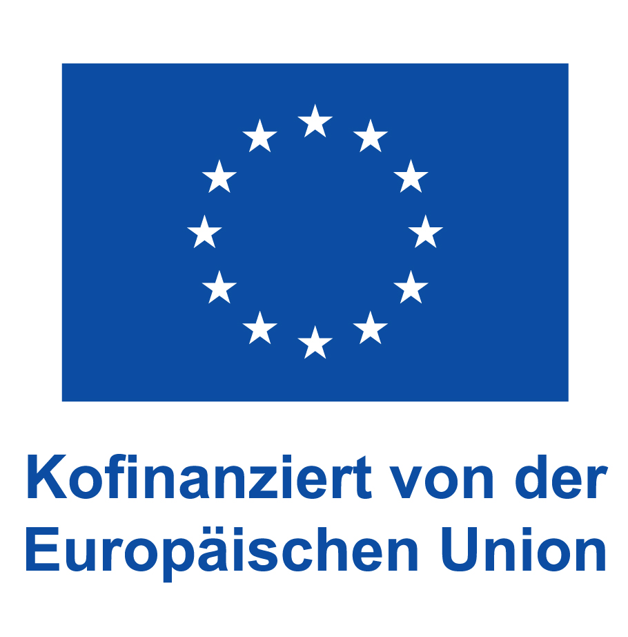 DE V Kofinanziert von der Europaeischen Union Web blau